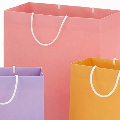 Hallmark 5EGB6620 Recyclable Gift Bag Assortment thumb #5