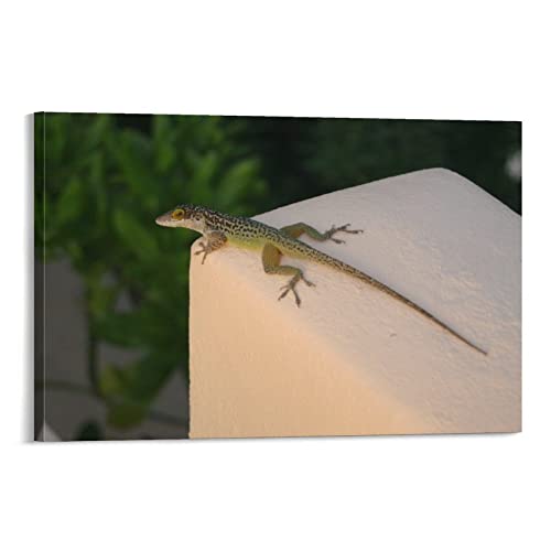Photography Poster Reptile Lizard Art White Painted Block Wall Wall Decor Canvas Wall Art Prints For Wall Decor Room Decor Bedroom Decor Gifts 24X36Inch(60X90Cm) Frame-Style #TOP5