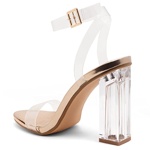 Shoe Land Womens SL-Cllaary Clear Heels Open Toe Ankle Strap Chunky Block Heeled Sandals Dress Pump Wedding Party Shoes2