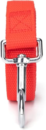 Image of 10 Feet Nylon Training Dog Leash for Small Medium Large Dogs Puppy Lead for Obedience Recall Training, Camping (Red)