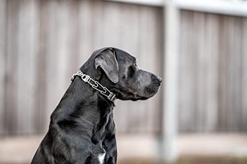 Herm Sprenger GERMANY Dog Training Prong Collar with Quick Release Cliclock Buckle and Swivel Ring | Adjustable Length Stainless Steel Made in for Large Dogs, 25 In (up to 20'' neck) x 3.2mm Links