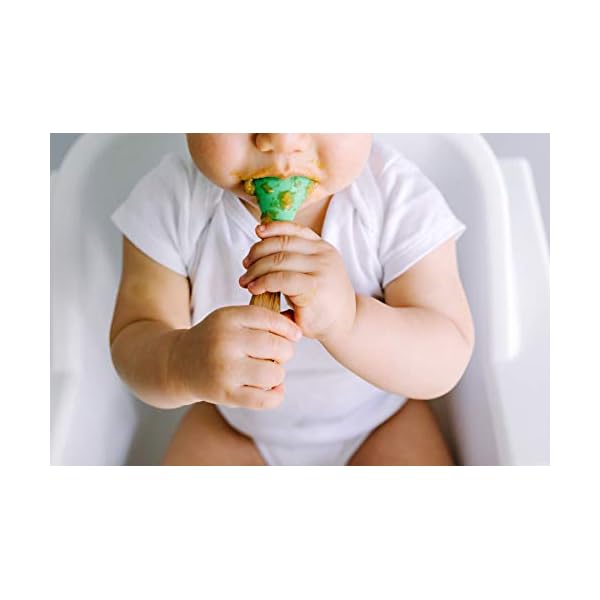 Serenity Kids 6+ Months USDA Organic Veggie Puree Baby Food Pouches | No Sugary Fruits or Added Sugar | Allergen Free…