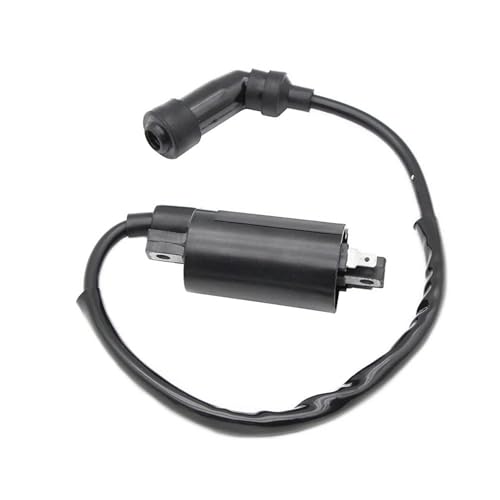 Bobina de encendido para moto Suzuki DR200, DR125 y GN125, repuesto de motor 33410-14F00