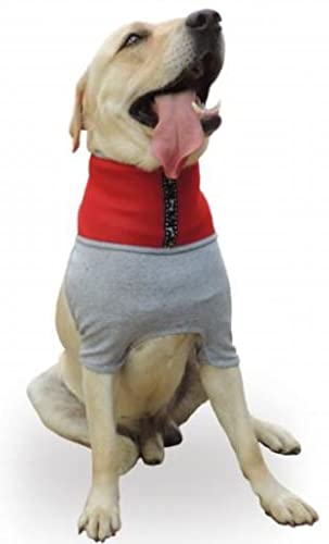 PETMED PROTECTOR CUELLO T2 Cover