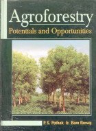 Buy Agroforestry: Potentials And Opportunities — BookShops.in