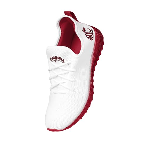 Image of FOCO NCAA Mens NCAA College Team Logo Athletic Shoes Sneakers