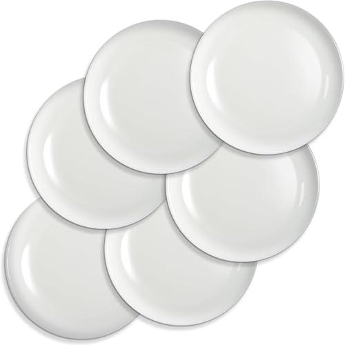 EXTRAPINS 6 Stück Porzellan Dessertteller Set, 17,78 cm...