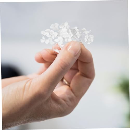 Pétalos de hortensia natural secados para decoración blanco miniatura 7