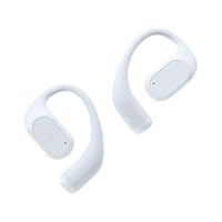 radius ラディウス HP-H300BT ワイヤレスイヤホン【ほぼ新品】 Amazon.co.jp: ラディウス radius HP-H300BT 完全ワイヤレスイヤホン