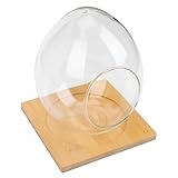 Jardinière en verre de bureau : et finition, un bon pour vos amis, ils l'aimeront beaucoup, bol de terrarium incliné.