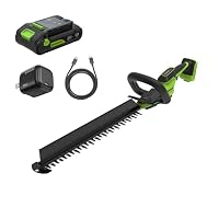 Greenworks 24V 20 in Telescoping Pole Hedge Trimmer Attachment
