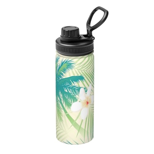 �n���C �R�R�i�b�c�̖� �t �O���[�� �� �W�t�� �R���r�j�J�b�v ���� ���@�r �X�e�����X�� ��d�\�� �ۉ� �ۗ� �ԍڃJ�b�v �g�� ������530ml �j�̎q ���̎q ������� ��l �q�� �v���[���g