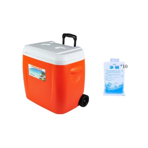 Kirnuo LX^[t N[[{bNX 28L/38L ۗۉ{bNX e ԕۗ 24?48 ܑۗΉ L[nht Lv ނ o[xL[ AEghA (38L,IWFiACXpbN*10j) [sAi]