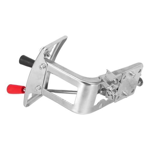 Toyvian 엿Uz@ obN Uz@ mȎ{ 