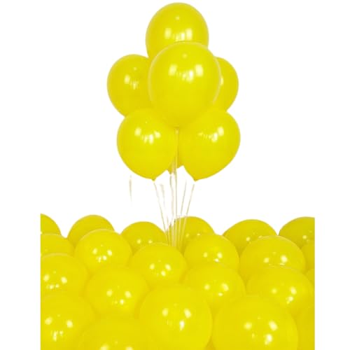 [W[eBA] D o[ t 100 SD   EFfBO a a Cxg TvCY ی^ ӂ a ̓ o[Xf[ p[eB[  JX LO  l Xܑ j v|[