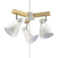 照明３灯セット/VPL-9000X1台/AputureAmaranH528W2台 照明3灯セット/VPL-9000X1台/AputureAmaranH528W2台 照明3灯