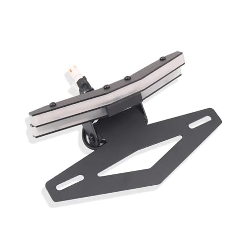 Support de Plaque d'Immatriculation Moto pour KTM Duke 790 et 890