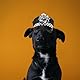 Hut für Haustier, Einstellbare Polizeikappe Für Haustiere Hunde Katzenkostüm Mit Tragegurt Lustiges Zubehör Für Partys Und Fotoshootings Für Halloween Und Geburtstagsfeiern