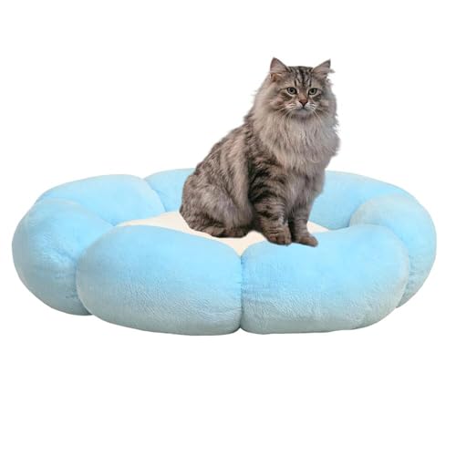 Lifetips TCxAL TCxA ӂӂybgxbh Lp 􂦂 ~ ~p NbV ʔNΉ ې􂢉 Lpxbh ~p ~ߒ 􂦂Jo[ ᔽNbV iXJCu[j