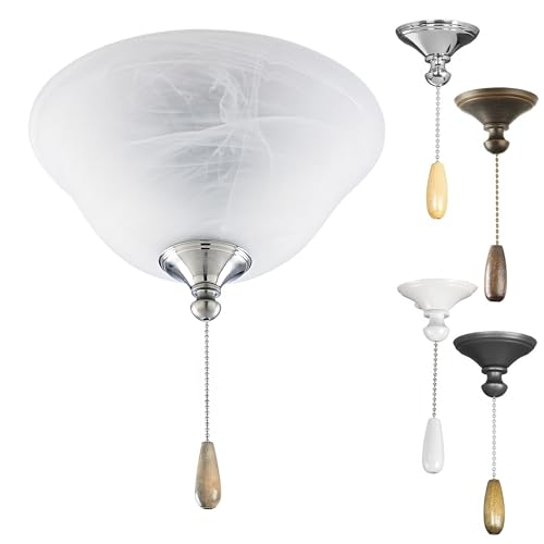 Progress Lighting 2-Light Ceiling Fan Light Kit for...