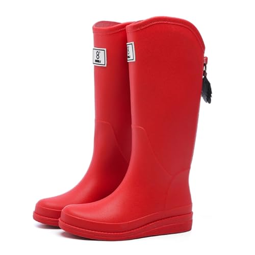 [CTN] Cu[c fB[X O CV[Y h JC C y t@bV 24.5 cm ~ Vv  AEghA  r