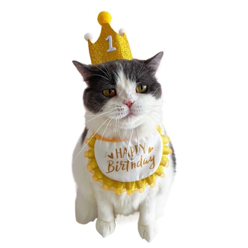  a Xq X^C 蕨 aObY 3_Zbgt L o[Xf[ObY nbgybgp aZbg (CG[)