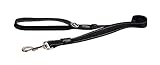 Reflective Dog Leash for Extra Large Dogs, 1