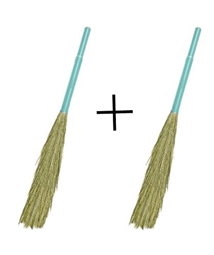 Spotzero from Milton Aqua Green Shubhra Grass Broom - Set of 2 Pcs (B077HK13WT) Amazon Price History, Amazon Price Tracker