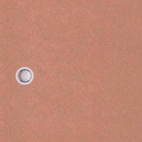 ӂ܎ J[oG[V @ XVp×QOOp a_ m ւ  ӂ (22300)