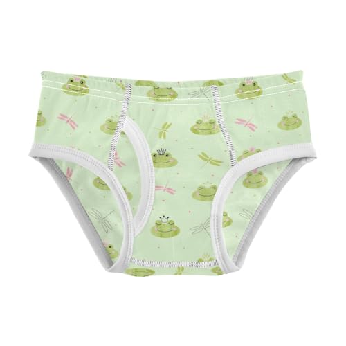 Boys' Exclusive Briefs Toddler Underwear 95% Combed Cotton Boxerbriefs 2T Frog and Dragonfly Pattern 58