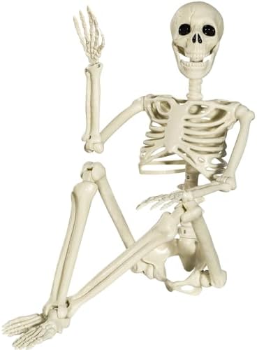 31q8R3VSmuL._AC_ XONOR Halloween Skeleton Full Body Joints Skeletons 90cm Human Skeleton Decorations for Halloween Party Haunted House Supplies (90cm)
