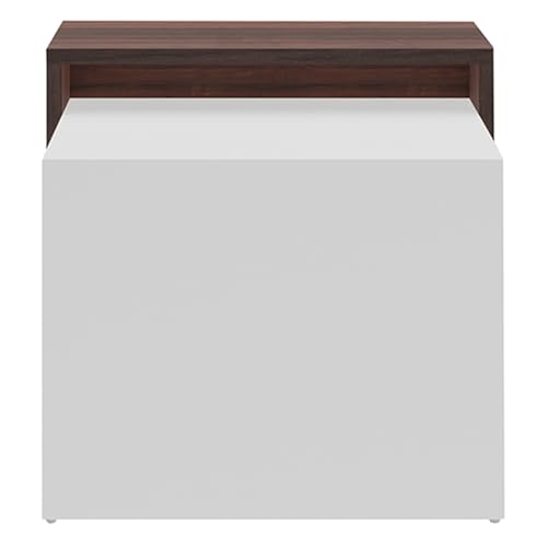 Image of Royaloak Ivan Coffee Table | Engineered Wood | Melamine Finish | Bottom Shelf | Dual Color | Modern Design | Wooden Coffee Table
