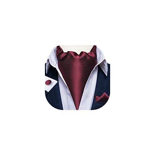 DiBanGu Burgundy Ascot Ties for Men Cravat Tie and Pocket Square Set Jacquard Silk Ascot Paisley Cravat for Men
