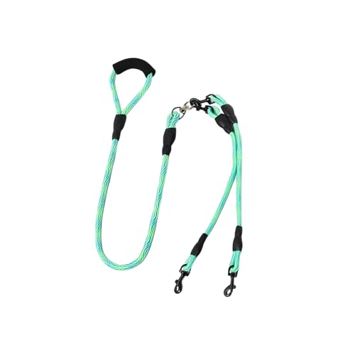 Generisch Doppelleine Türkis Weiß für Zwei Hunde