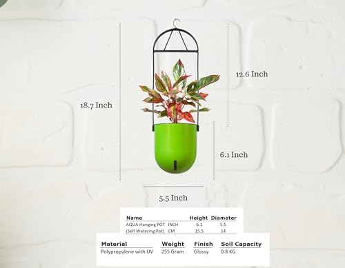 Image of Indian Discovery Self Watering Ceiling Hanging Planter|Hanging /Hooked Flower Pots for Home, Balcony, Garden Decor Flower Pots(1 Pcs, Parrot Green, Sphere)|6 Inch UV-Resistant Plastic Plant Pots