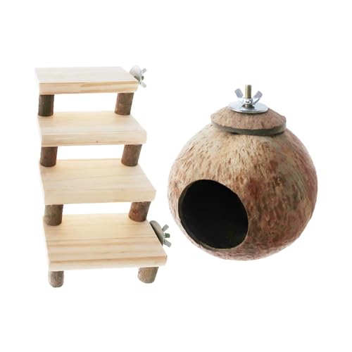 RRibcnX^[nEX P[WANZT[ bgpnX^[