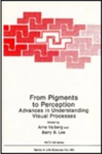 From Pigments to Perception: Advances in Understanding the Visual Process - Workshop Proceedings