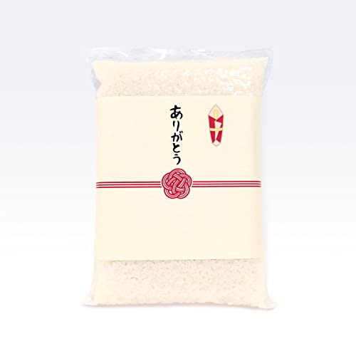 yVēׁzy肪Ƃẑt v`Mtg YRVqJ Q(300g)×PO ߘaVNY