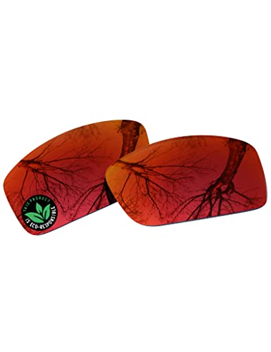 Image of Raydi Polycarbonate Replacement Lenses for Costa Del Mar Rincon 06S9018 Sunglasses