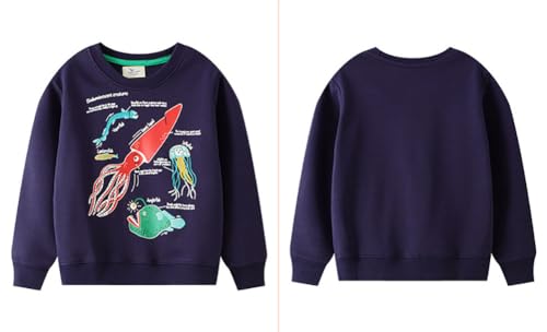 Boys Sweatshirts Long Sleeve Sweatshirts T-shirts Crew Neck Cotton Casual Sweatshirts Cartoon Tops for Boys-2323