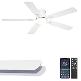Phylluz 52'' Low Profile Ceiling Fan with Light...