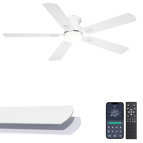 Phylluz 52 Low Profile Ceiling Fan with Lights for Bedroom Living Room