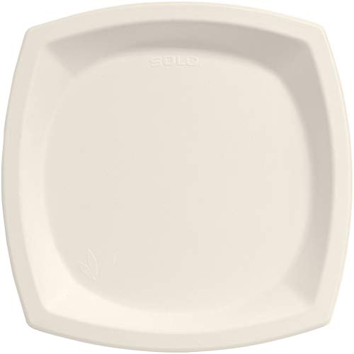 Dart 10PSC2050CT Bare Eco-Forward Sugarcane Dinnerware 10 dia Plate Ivory Pack of 125 Case of 4