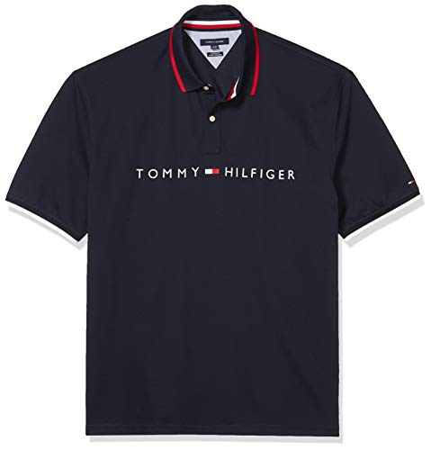 Tommy Hilfiger mens Tommy Hilfiger Men's Flag Pride in Custom Fit Polo Shirt, Sky Captain-print, Large US