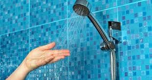 Cleenko -1 Flacone da Litri 5 - Doccia-Shampo