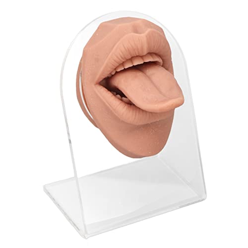 TYCIONG Modèle de piercing à lèvre en silicone souple, modèle de simulation de bouche pour la pratique du piercing et l'affichage de bijoux, outil pédagogique avec support en acrylique, Plastique