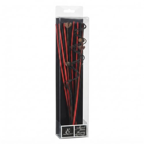 Hosley 12.5" Botanical Diffuser Reeds – Natural Rattan Scent Sticks for Reed Diffusers, Home Fragrance, Farmhouse Decor, Office & Spa Use – Decorative Aromatherapy Refill Sticks