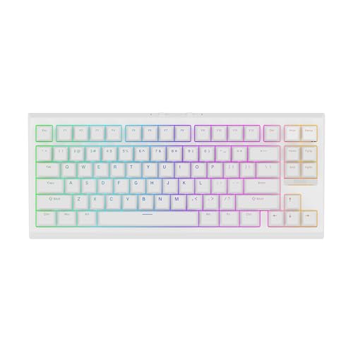 EPOMAKER G84 80% RGBゲーミングメカニカルキーボード 2.4GHz/Bluetooth/TypeC...
