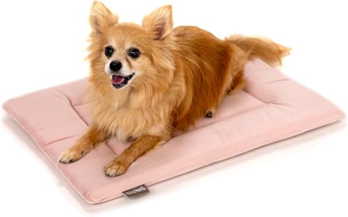 KindTail Dog Crate Pad - Soft Velvet Reversible Bed - Machine Washable Kennel Mat for Pets up to 15 lbs Mattress for Cozy Sleeping - 20 x 15 x 1 (Pink Small)