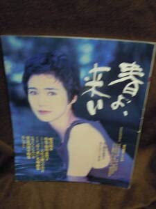 Amazon.co.jp: Z-16 NHKドラマ・ガイド 朝の連続テレビ小説 春よ来い